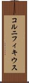 コルニフィキウス Scroll