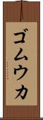 ゴムウカ Scroll