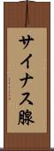 サイナス腺 Scroll