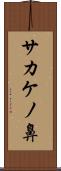 サカケノ鼻 Scroll