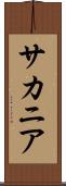 サカニア Scroll