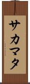 サカマタ Scroll