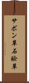 サボン草 Scroll