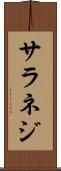 サラネジ Scroll