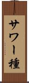 サワー種 Scroll