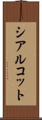 シアルコット Scroll