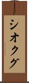 シオクグ Scroll