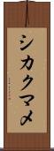 シカクマメ Scroll