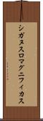 シガヌスロマグニフィカス Scroll