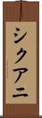 シクアニ Scroll