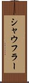 シャウフラー Scroll