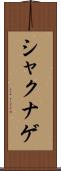 シャクナゲ Scroll