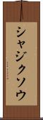 シャジクソウ Scroll