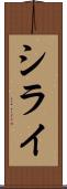 シライ Scroll