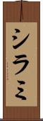 シラミ Scroll