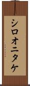 シロオニタケ Scroll