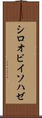 シロオビイソハゼ Scroll