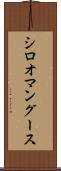 シロオマングース Scroll