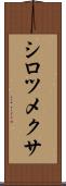 シロツメクサ Scroll