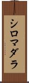 シロマダラ Scroll
