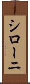 シローニ Scroll
