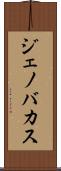 Jenovacus Scroll