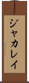 ジャカレイ Scroll