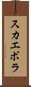 スカエボラ Scroll