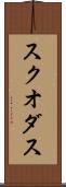 スクオダス Scroll