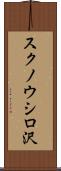 スクノウシロ沢 Scroll