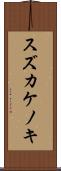 スズカケノキ Scroll