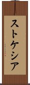 ストケシア Scroll