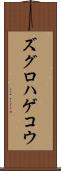 ズグロハゲコウ Scroll
