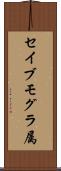 セイブモグラ属 Scroll