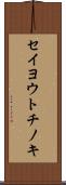 セイヨウトチノキ Scroll