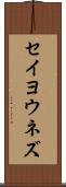 セイヨウネズ Scroll