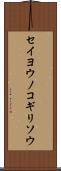 セイヨウノコギリソウ Scroll