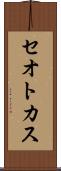 セオトカス Scroll