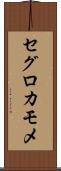 セグロカモメ Scroll