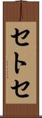 セトセ Scroll