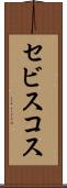 セビスコス Scroll