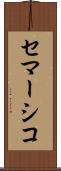 セマーシコ Scroll