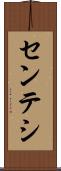センテシ Scroll