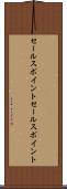 セールスポイント Scroll