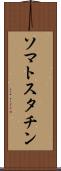 ソマトスタチン Scroll