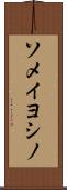 ソメイヨシノ Scroll