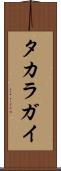 タカラガイ Scroll