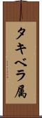 タキベラ属 Scroll