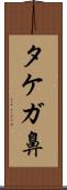 タケガ鼻 Scroll