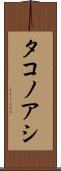 タコノアシ Scroll